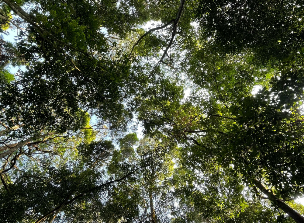 Energy and sustainability